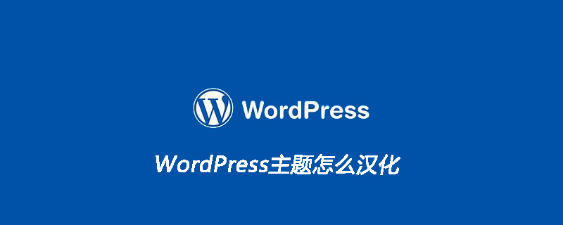 WordPress主题汉化教程：简单几步，打造专属中文网站