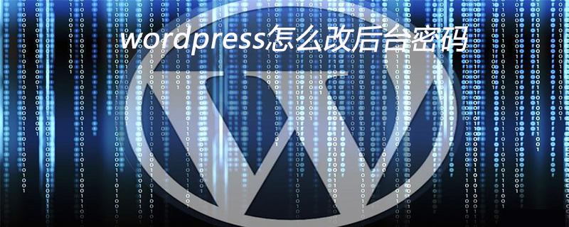 WordPress后台密码修改指南：简单步骤保护你的网站安全