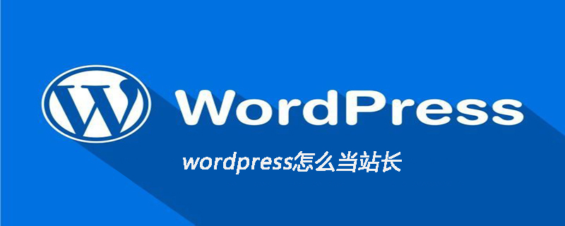 WordPress站长指南：从零开始，轻松搭建个人博客网站