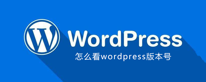 WordPress版本号查询：轻松获取并识别你的网站运行版本