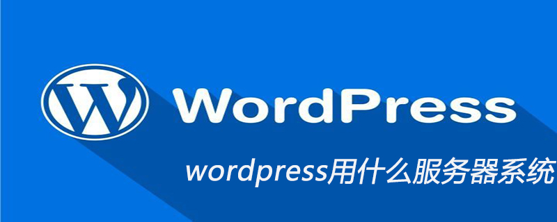 WordPress服务器系统选择：性能、稳定性与安全性的完美结合