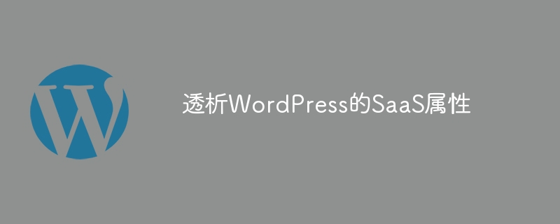 WordPress SaaS：云端托管，灵活定制，一站式网站建设解决方案